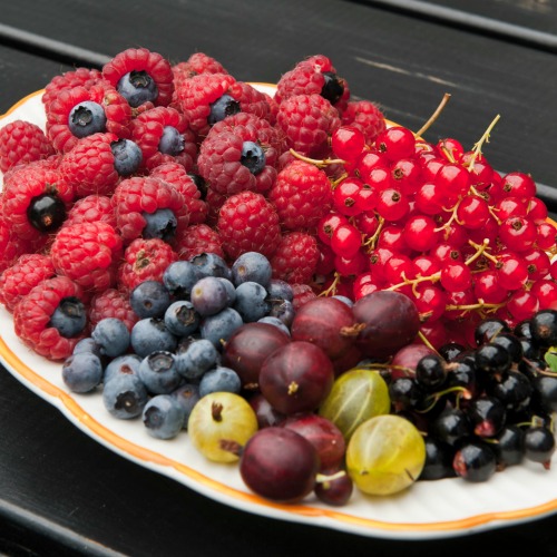 Dyrk din egen frugt - planlæg frugthaven nu